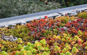 the cost of Menethorpe green roof installation