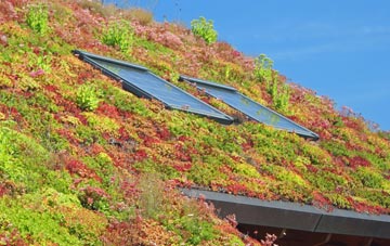Menethorpe living roof systems